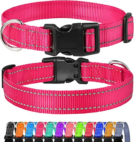 Dog Flat Collar