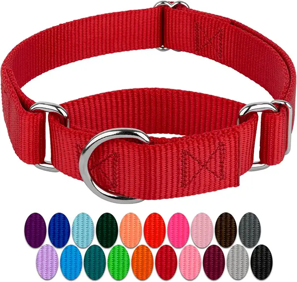 Greyhound Martingale Collar