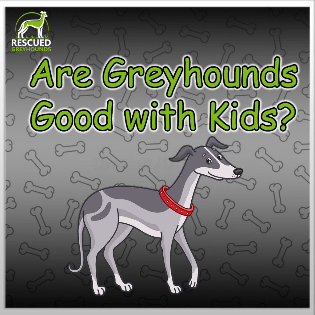 Are Greyhounds Good With Kids?