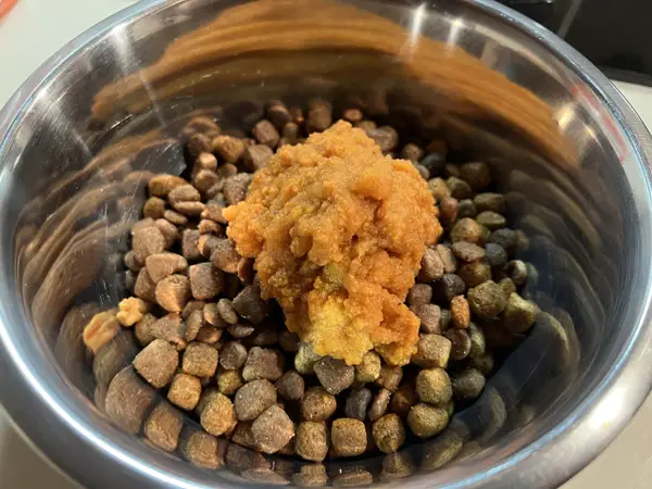 Mixing Olewo carrots with dog food part 3