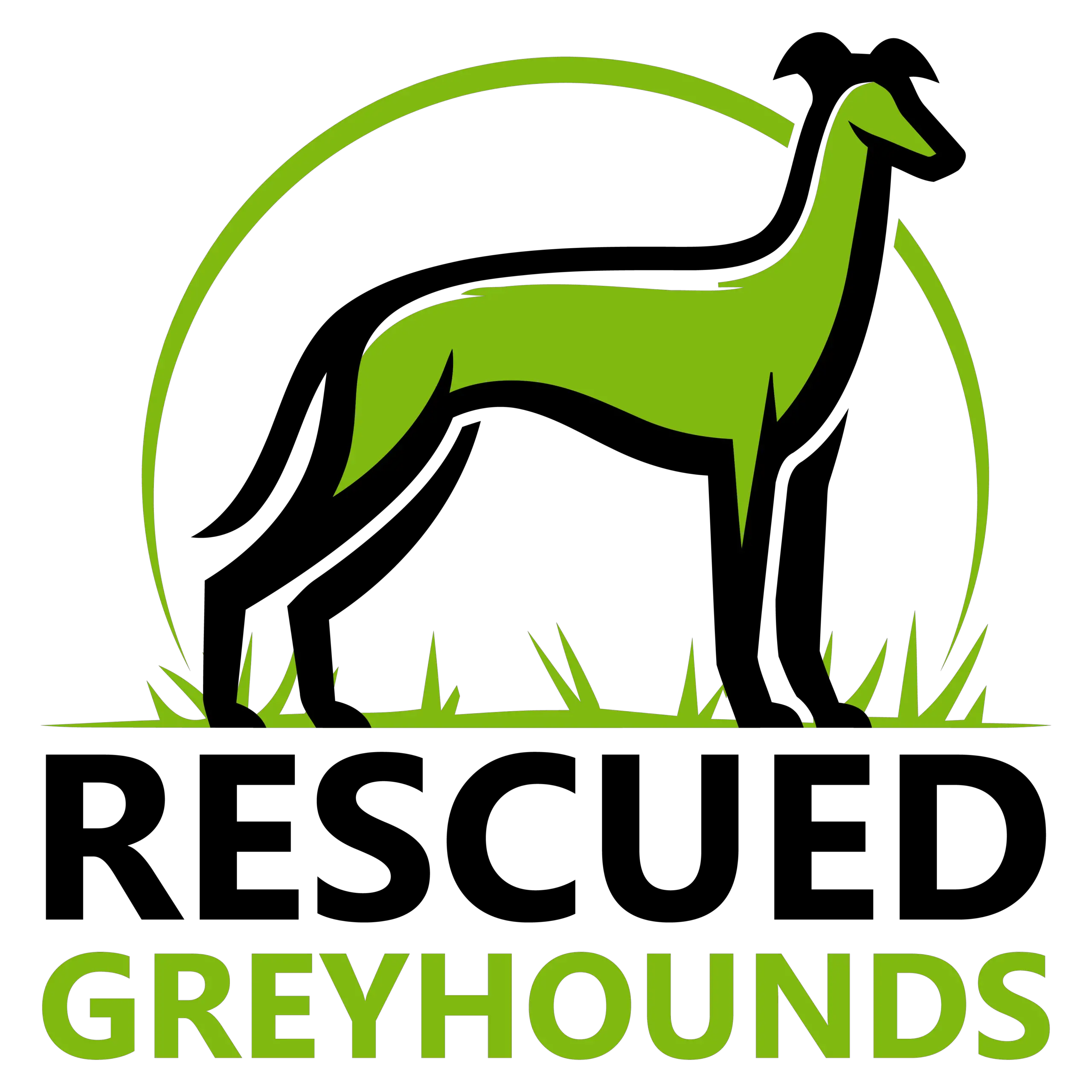 Rescued Greyhounds